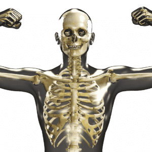 OsteoFit: The Bone-Building Workshop