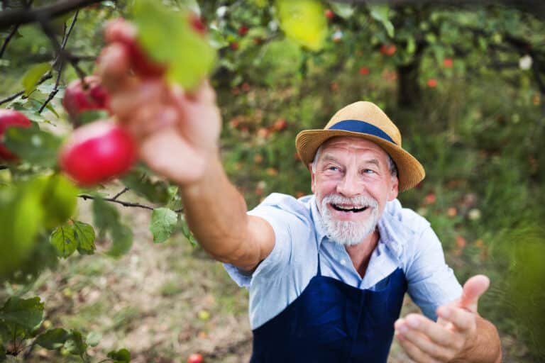 ac joint pain from reaching overhead can occur in situations like this: picking fruit may be challenging for some people