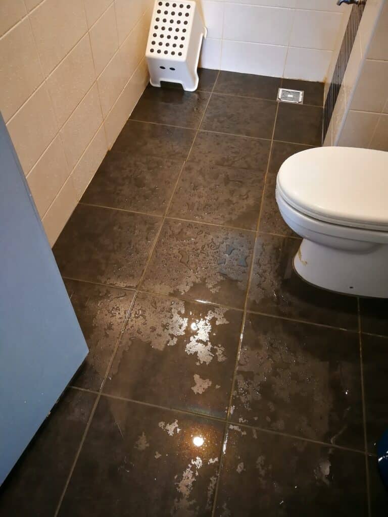 wet floor in the bathroom