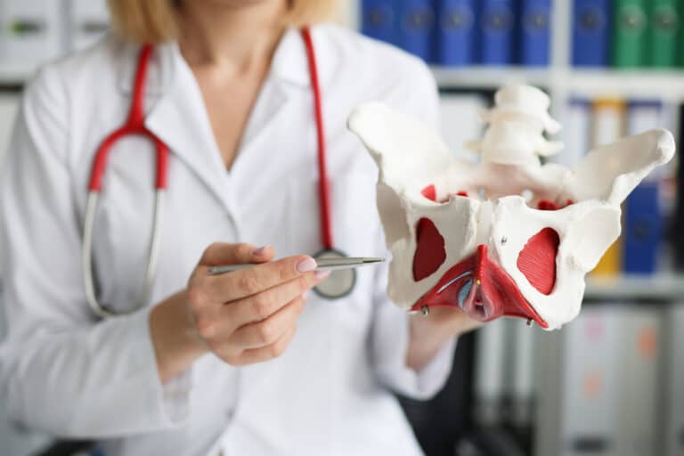 A female doctor holds a model, describing pelvic floor dysfunction