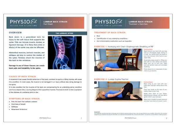 Low Back Strain Printable Exercises [PDF] - Physio Ed.