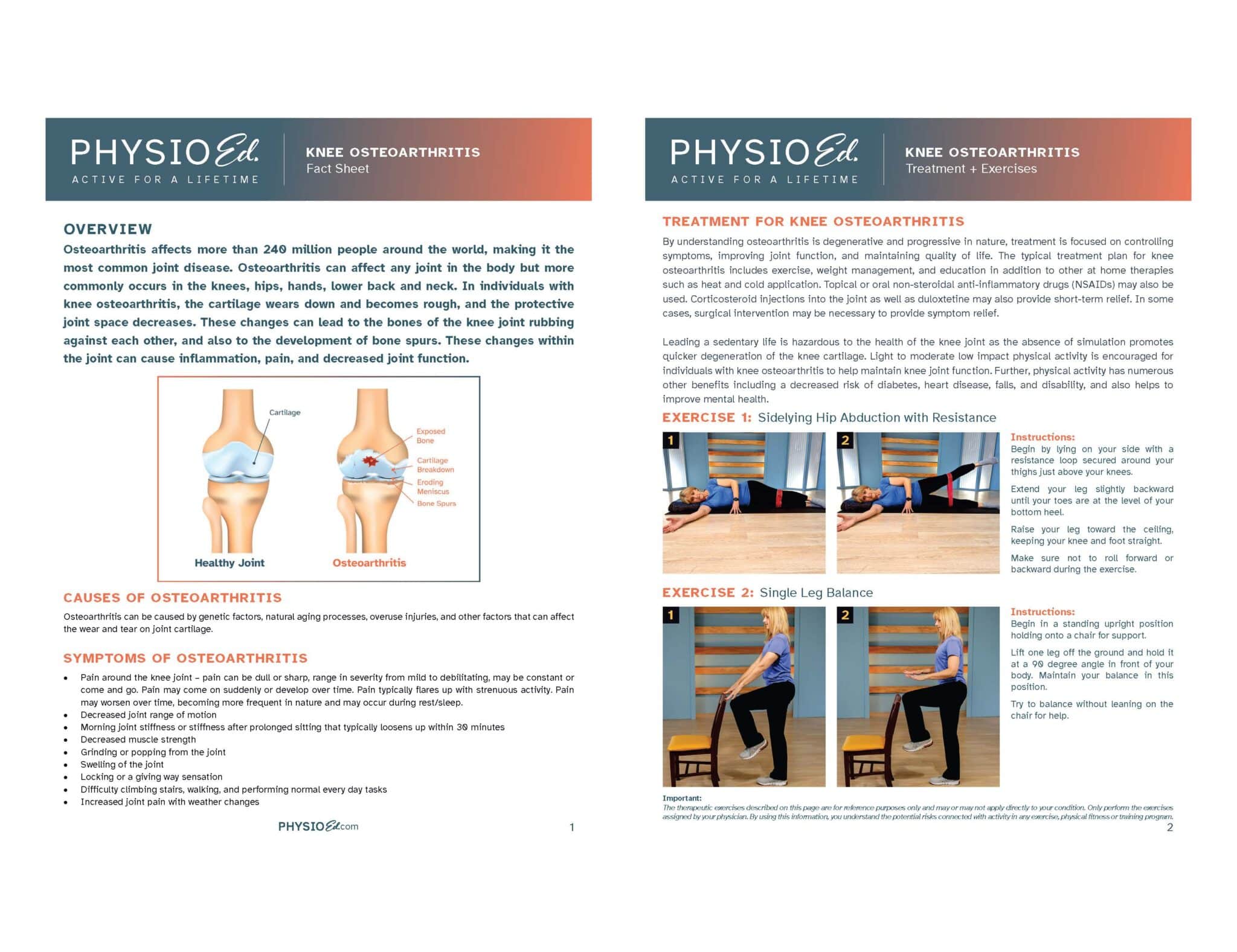 knee arthritis exercises and fact sheet