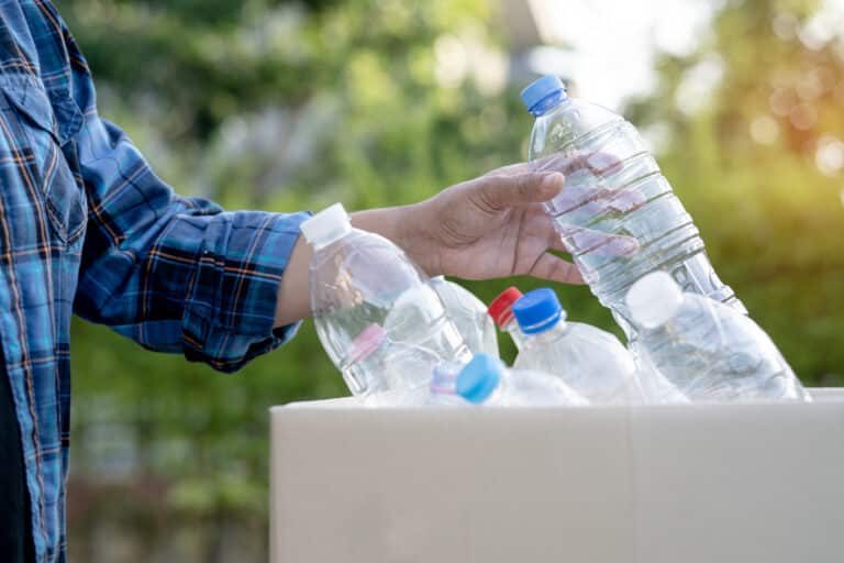 Plastics in the body: A woman places a recyclable bottle in a box