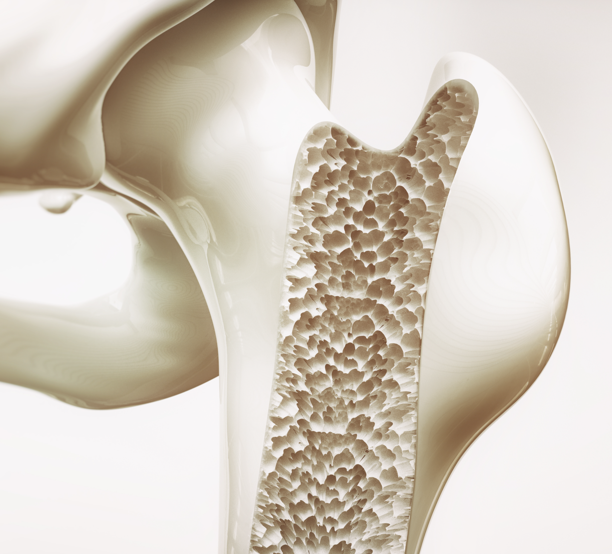 Bone Health & Osteoporosis