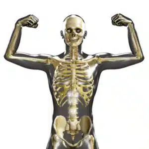 Group logo of Bone Strength Blueprint