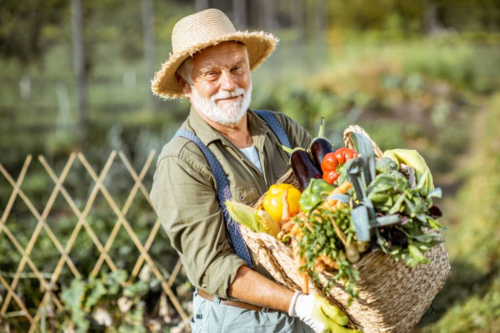 Image of a senior man lifting a basket full of vegetables.  Sciatica exercises for seniors can ensure that activities like gardening or lifting do not lean to pain.