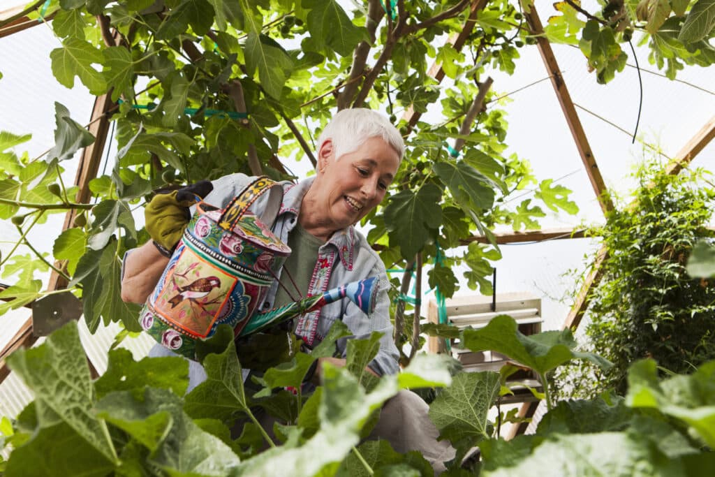 Image of a senior woman leaning over, gardening.